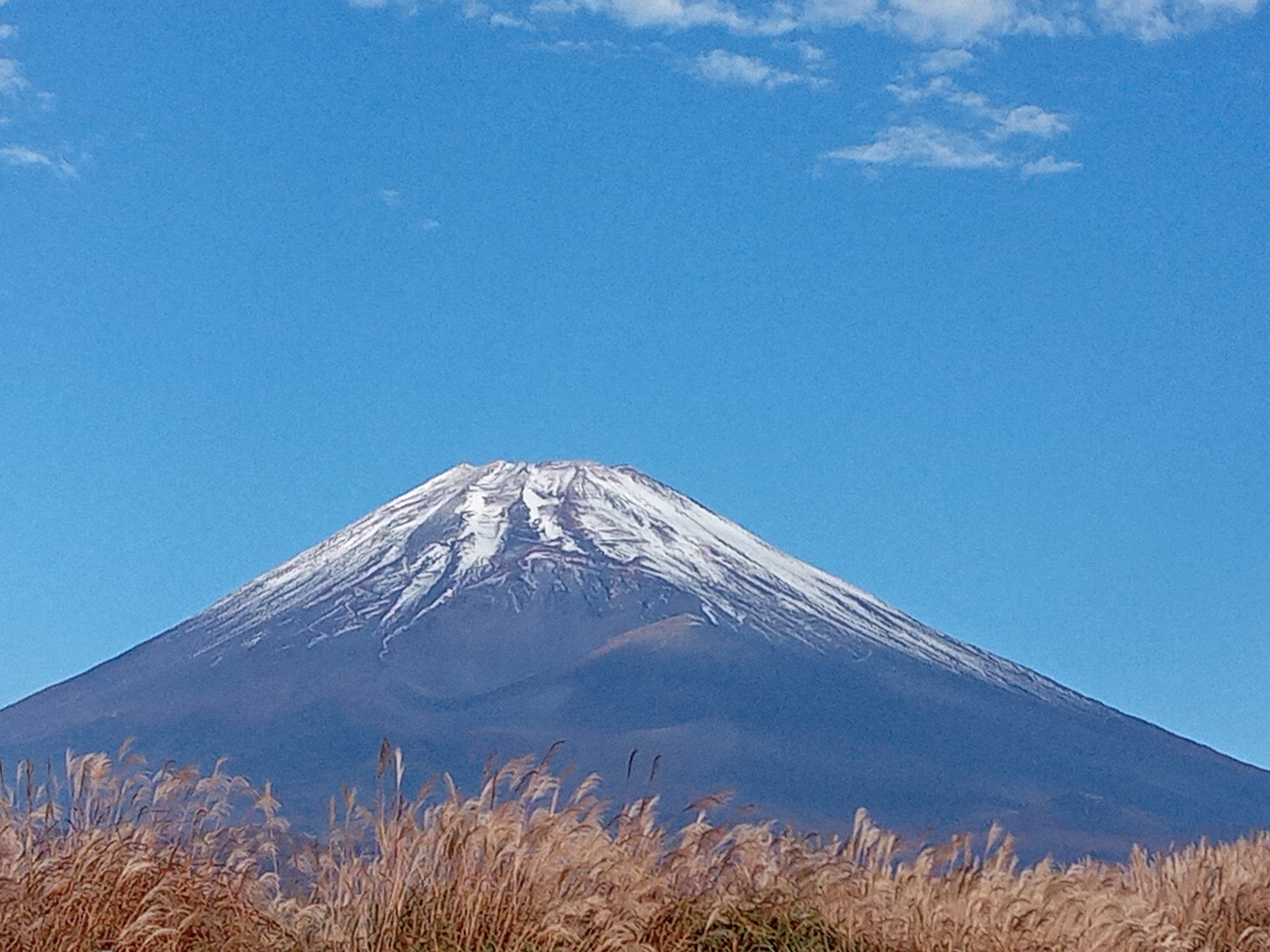 今日の富士山