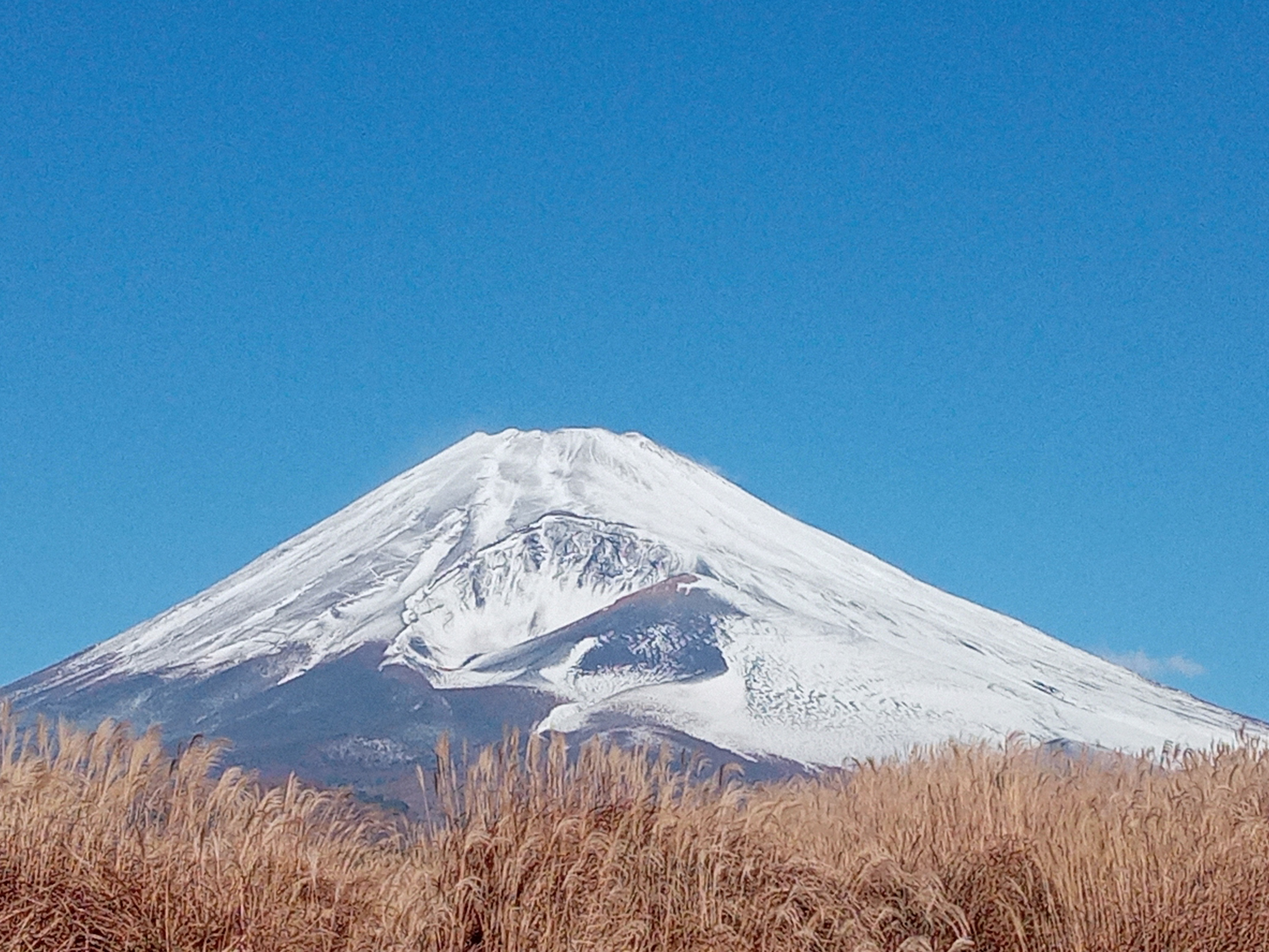 今日の富士山