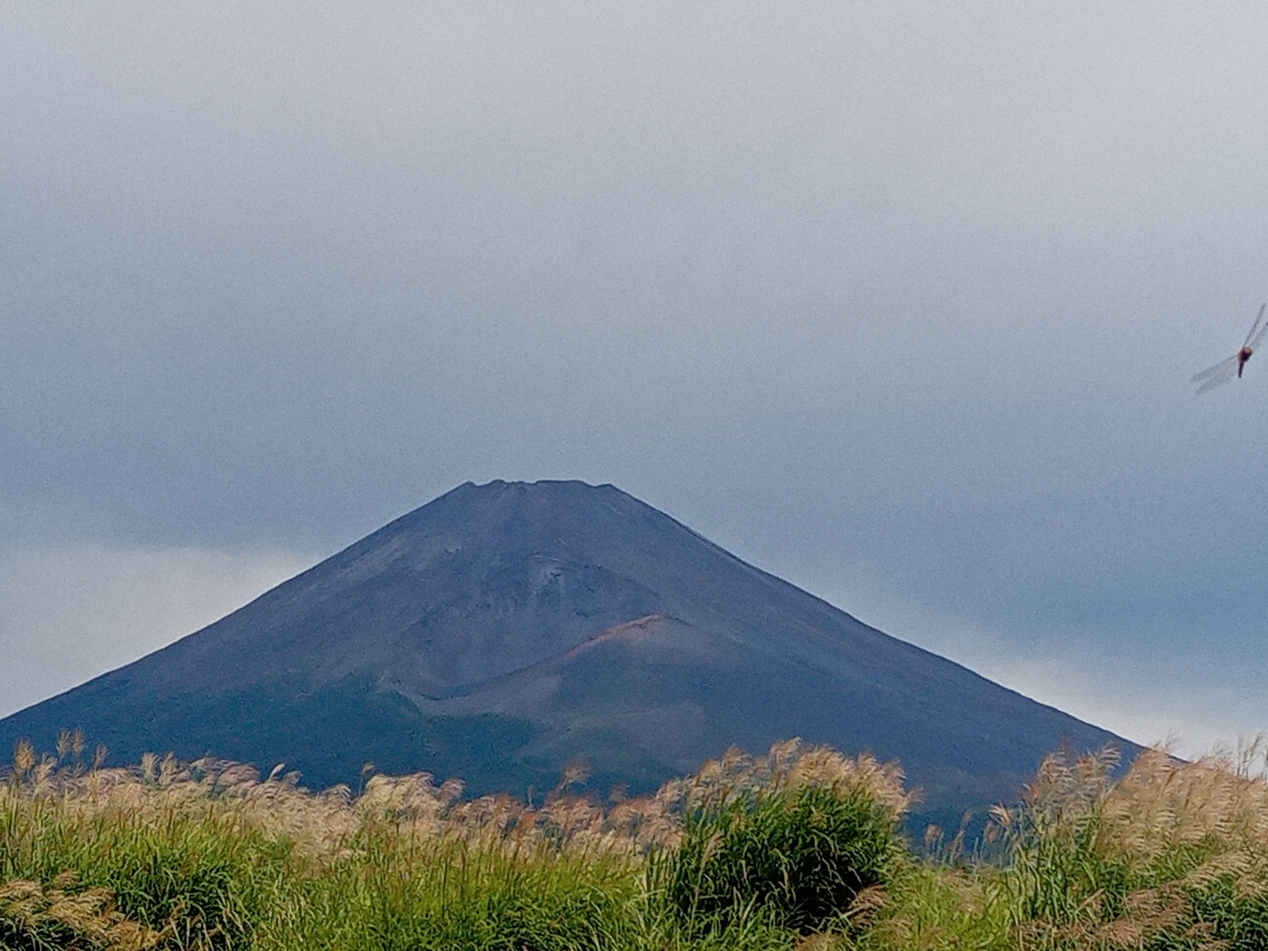 今日の富士山