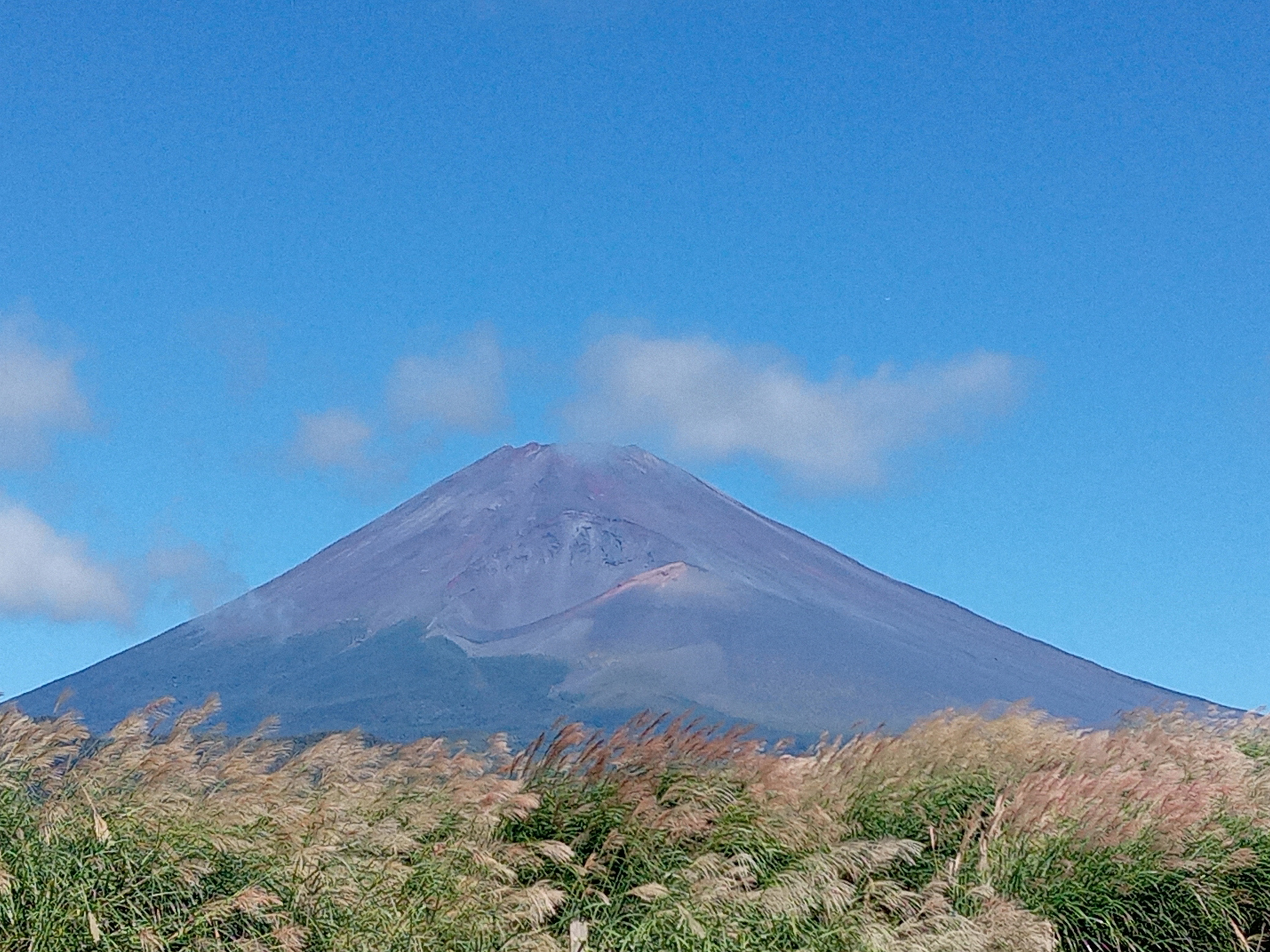 今日の富士山